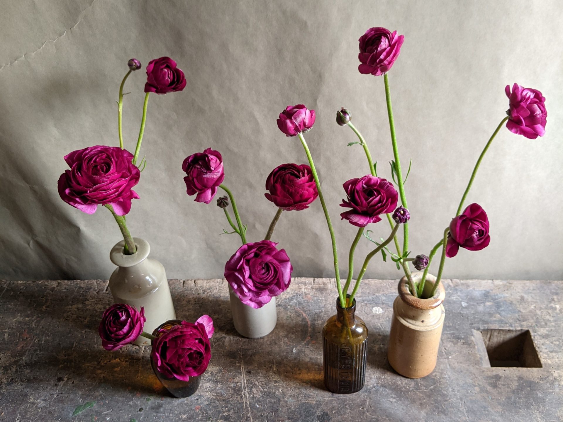 Field Flowers Petalon Petalon