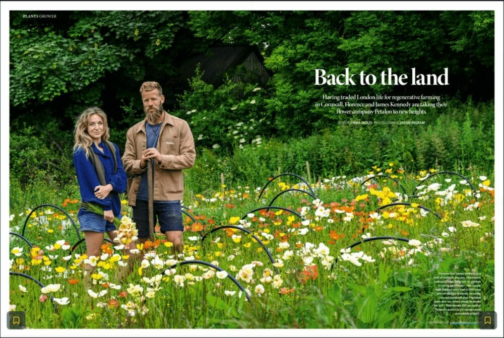 gardens-illustrated-petalon-flowers-british