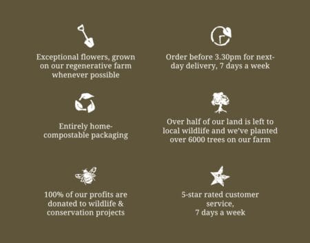 petalon-showcase-flowers delivered-the-next-day