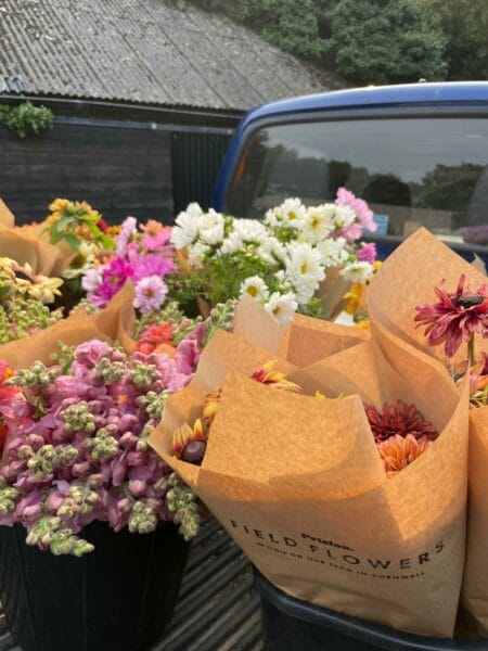 Farm Day: 18 July 2026