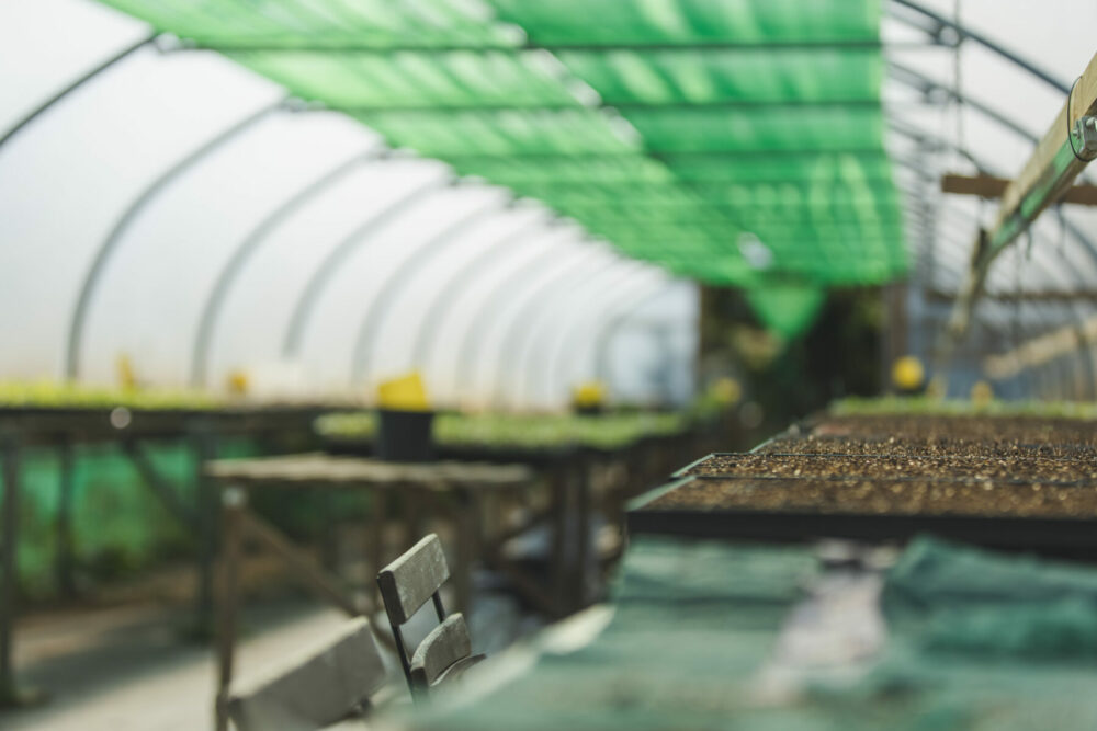 Wintering at the flower farm 2026