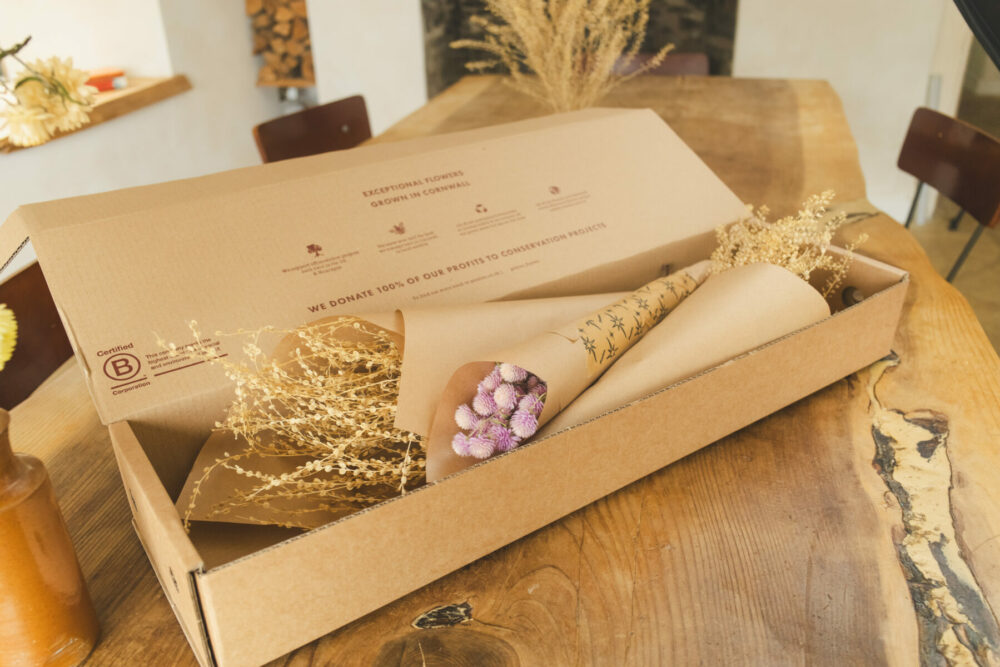 Dried Flowers from Petalon