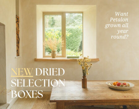 Dried Selection Boxes for your home