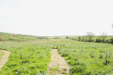 flower box delivery start point