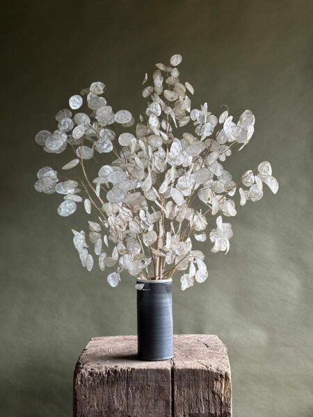 Dried Lunaria Bouquet